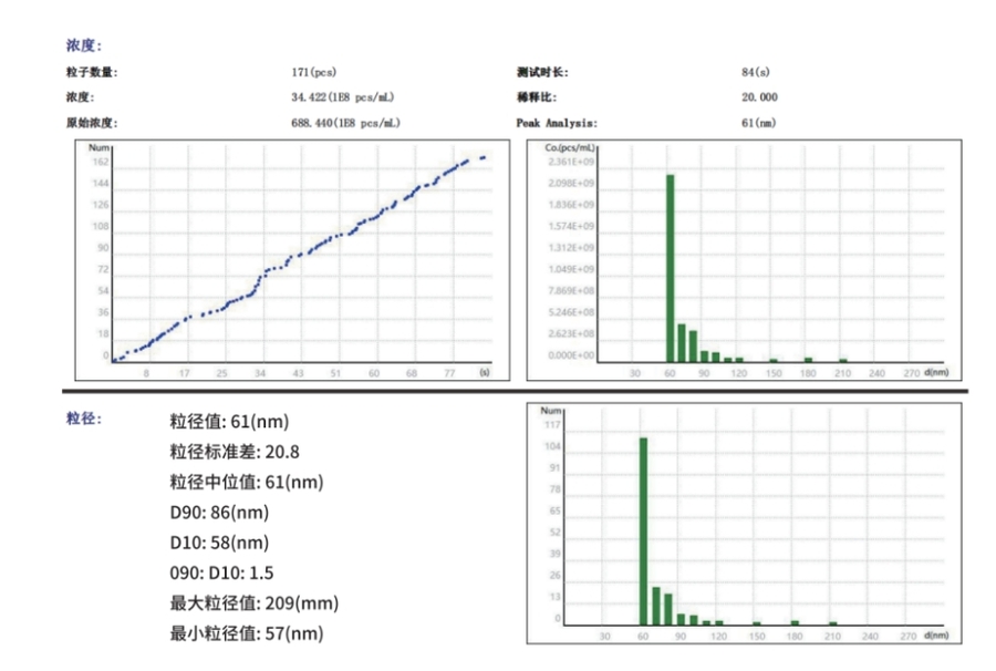 人参图片1.png