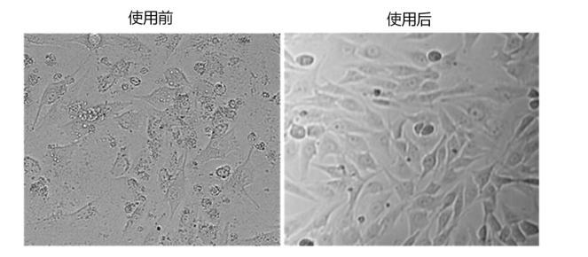 支原体去除试剂PLUS (1000×) 1.png