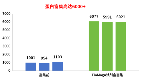 蛋白鉴定量.png